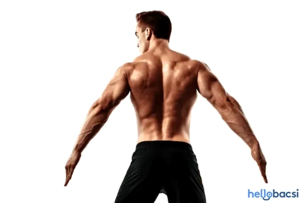 10 Bài Tập Cơ Lưng Dưới Hiệu Quả Cho Gymer Năm 2026