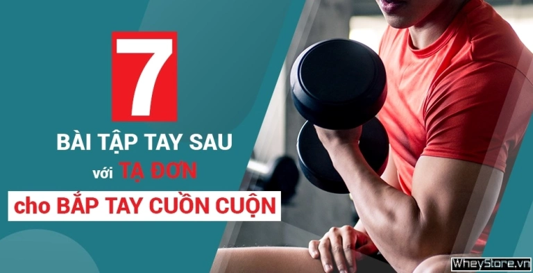 11 Bài Tập Tay Sau Với Tạ Đơn Cải Thiện Cơ Bắp Toàn Diện
