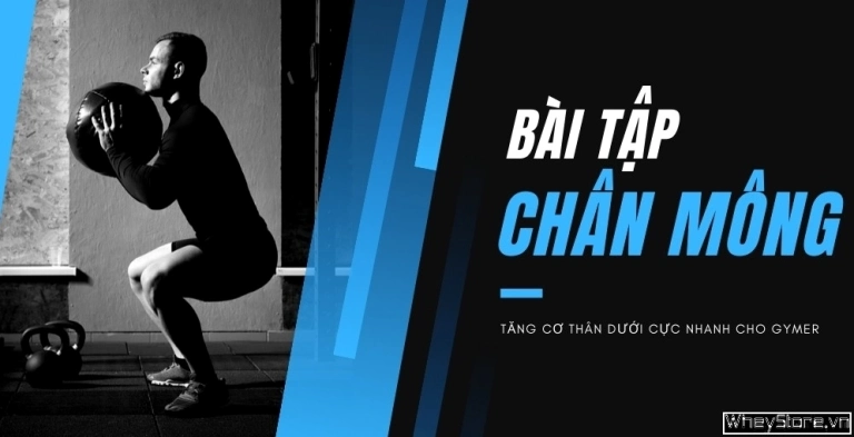 12 Bài Tập Chân Mông Tăng Cơ Thân Dưới Toàn Diện Cho Gymer