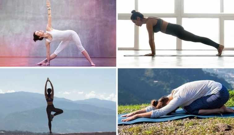 12 Động tác Yoga Đơn giản Giúp Người Mới Bắt Đầu Tập Tại Nhà