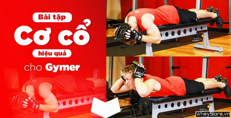 5 bài tập cơ cổ hiệu quả dành cho Gymer