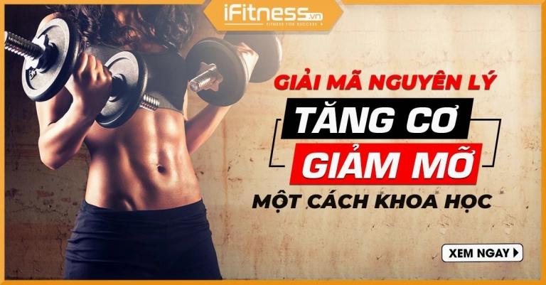 5 Nguyên Tắc Vàng Giúp Tăng Cơ Giảm Mỡ Hiệu Quả Năm 2026