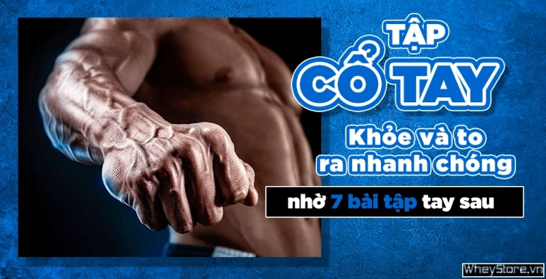 7 Bài Tập Tay Trước Hiệu Quả Giúp Cổ Tay To Khỏe Nhanh Chóng