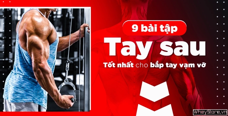 9 bài tập cơ tay sau hiệu quả cho bắp tay vạm vỡ
