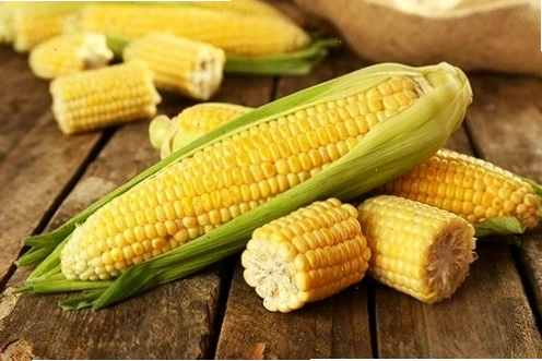 Ăn ngô mang lại nhiều lợi ích sức khỏe
