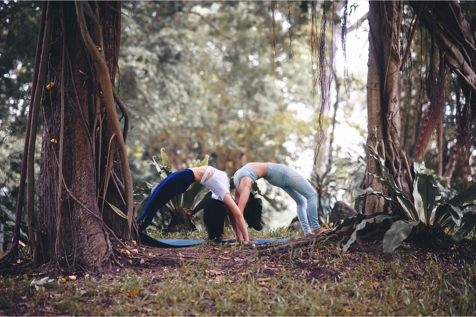 Ảnh yoga 3 người đẹp với trang phục đồng bộ