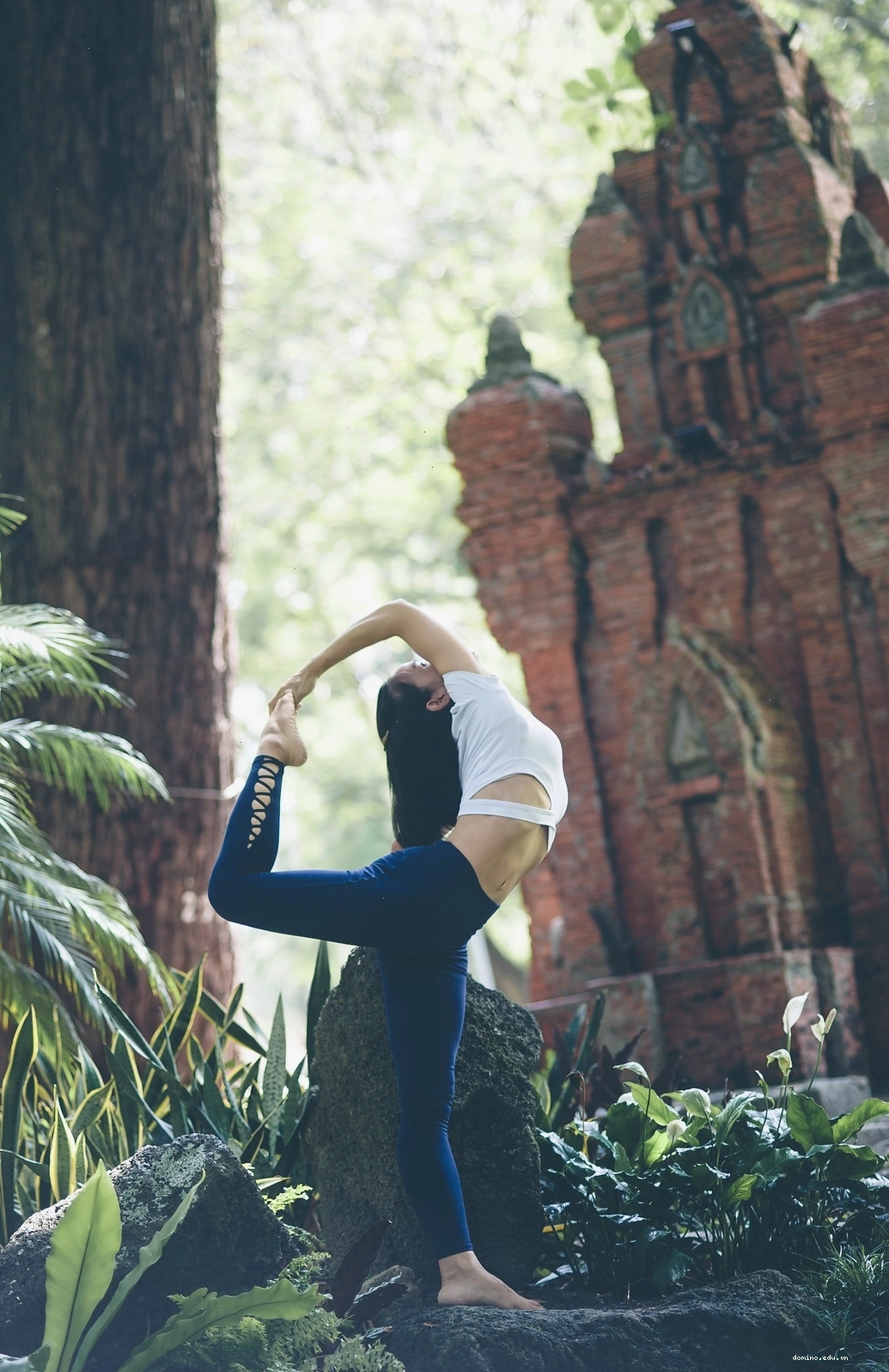 Ảnh yoga nhóm 3 cô gái tạo dáng cơ bản tại công viên