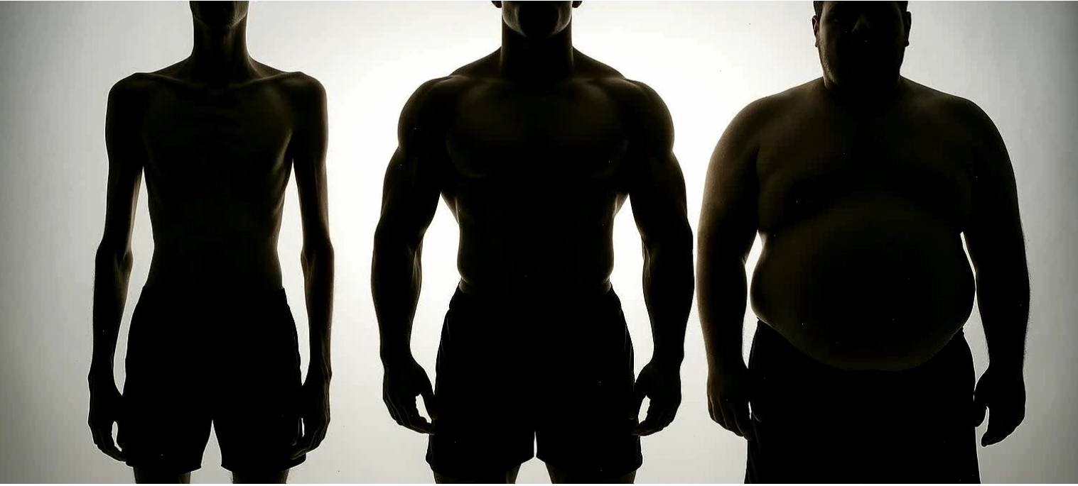Ba hình bóng nam giới thể hiện các loại hình thể ectomorph, mesomorph, endomorph.