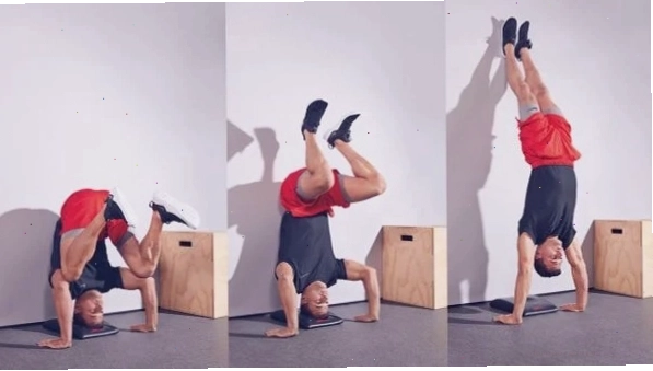 Bài tập Bear Crawls giúp tăng cường sức mạnh toàn thân và cơ tay