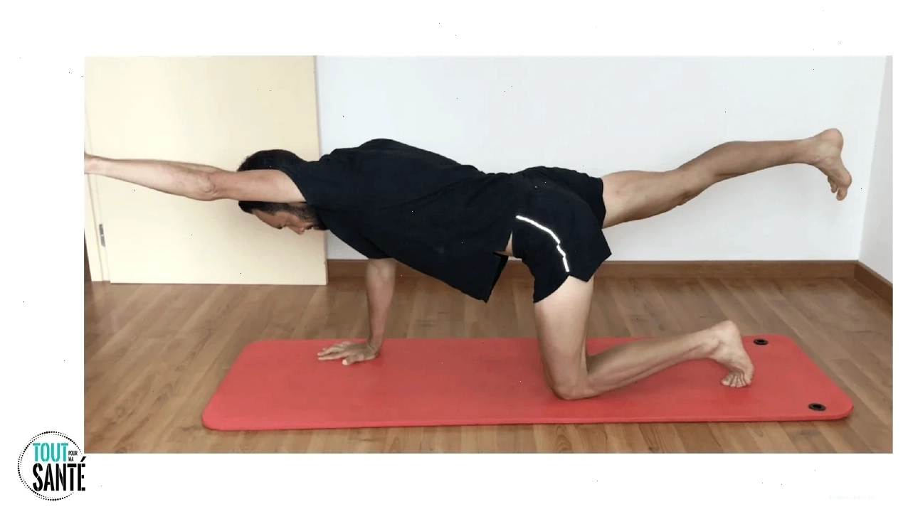 Bài tập Bird Dog cho sự ổn định của cơ lưng