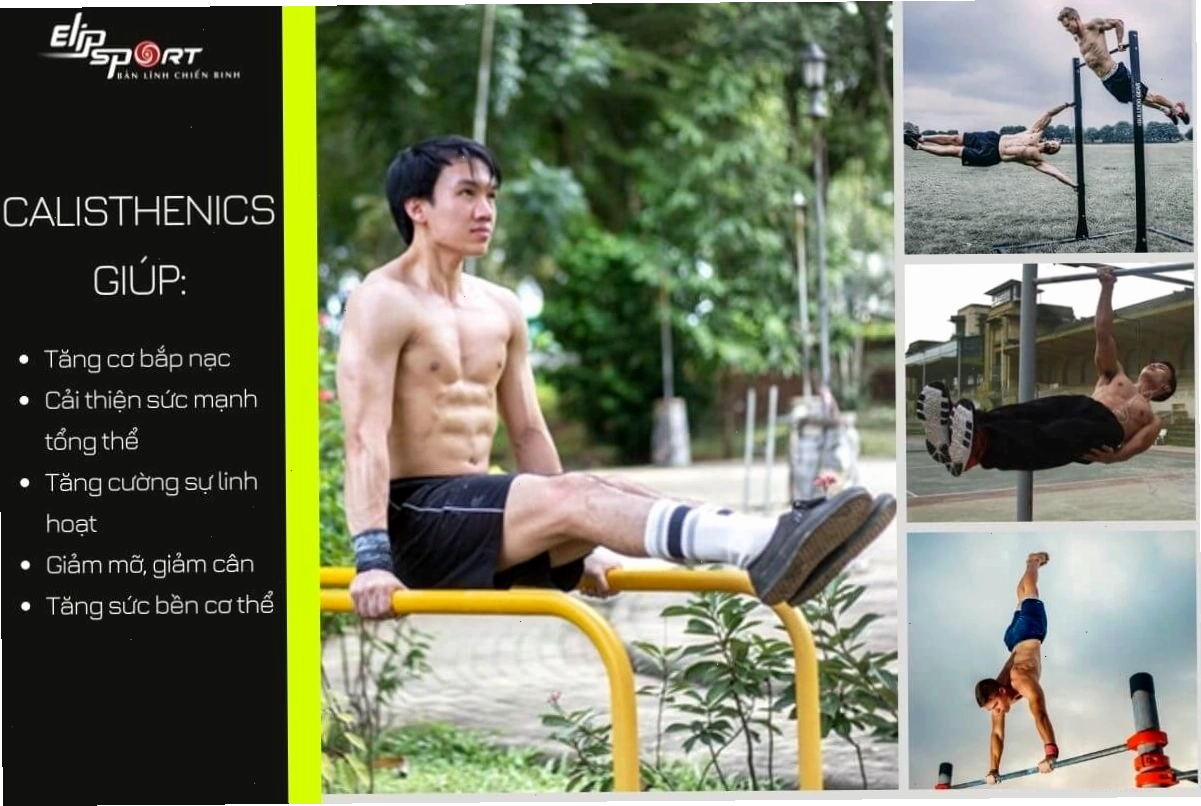 Bài tập Calisthenics cơ bản cho người mới bắt đầu