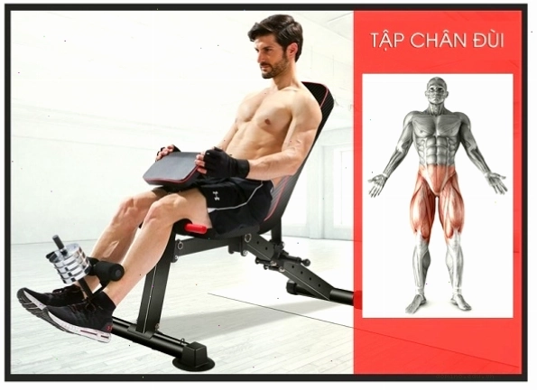 Bài tập cơ đùi trước