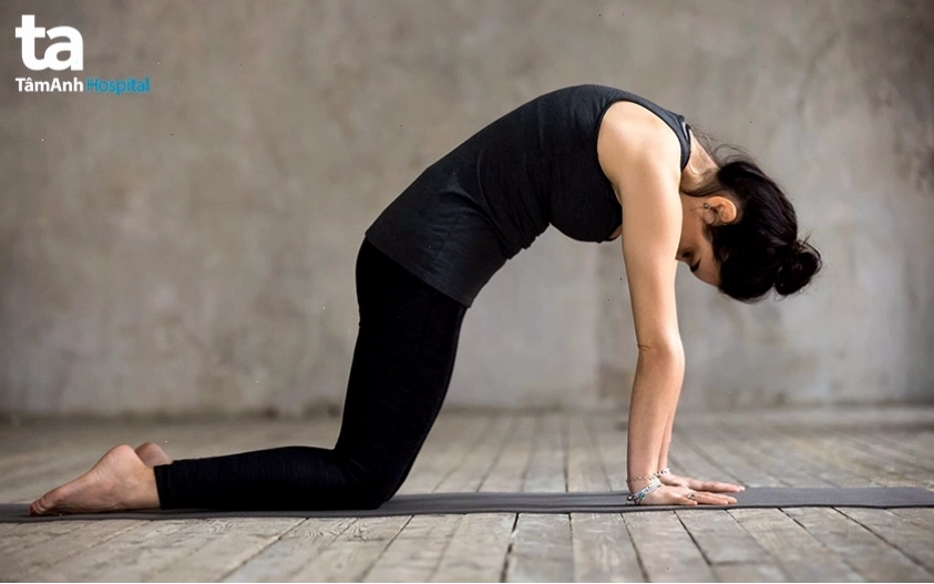 Bài tập con mèo con bò tăng cường sự linh hoạt cho cột sống