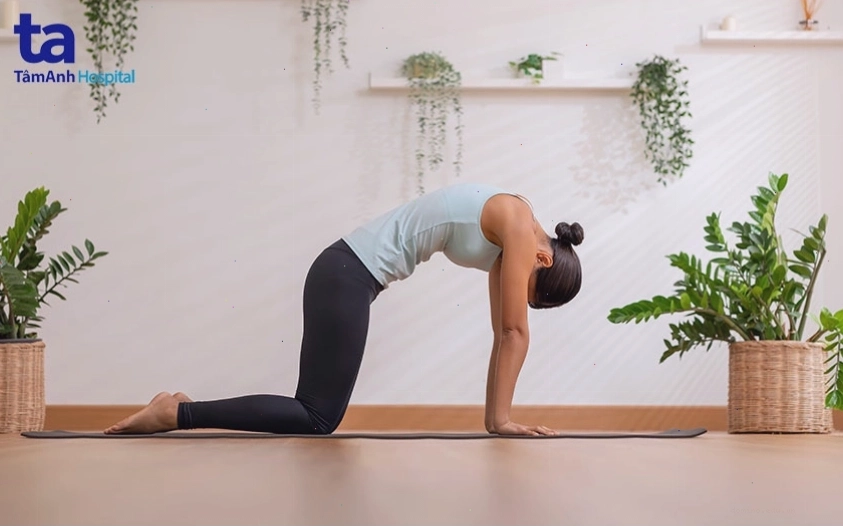 Bài tập con mèo giúp tăng linh hoạt cột sống