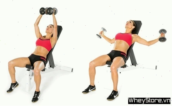 Bài tập đẩy ngực Bench Press cho nữ