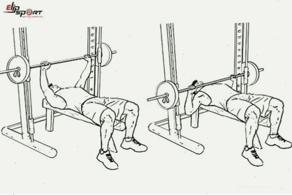 Bài tập đẩy ngực trên với máy Smith