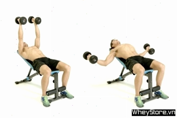 Bài tập Decline Dumbbell Bench Press trên băng ghế dốc xuống