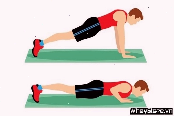 Bài tập Dumbbell Bench Press phát triển cơ ngực toàn diện