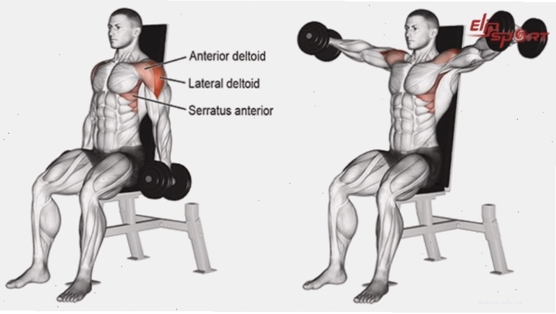 Bài tập Dumbbell Fly cho vai