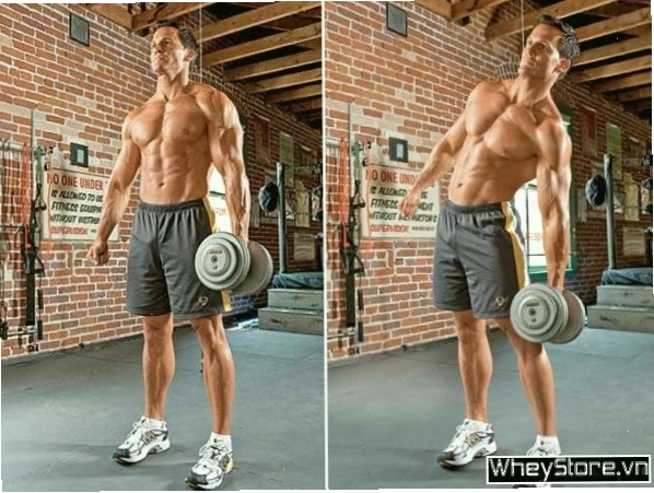 Bài tập Dumbbell Side Bend