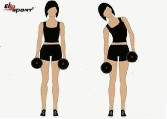 Bài tập gập tay với tạ đơn dumbbell bicep curl