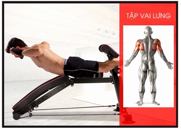 Bài tập lưng vai