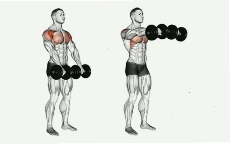 Bài tập nâng tạ đơn sang hai bên (Lateral Raise)