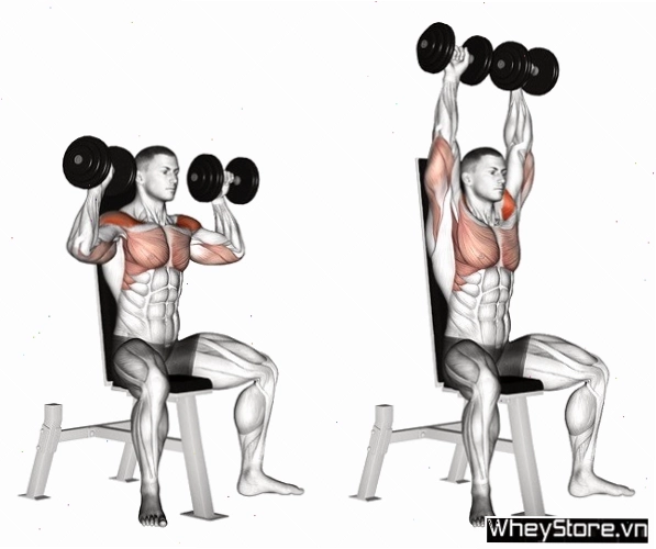 Bài tập nâng tạ đơn trước mặt với tạ đơn