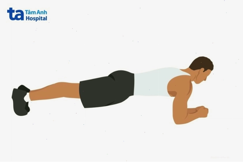 Bài tập plank cơ bản