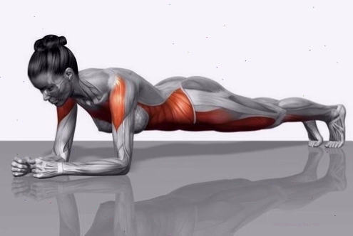 Bài tập Plank đòi hỏi sự ổn định hơi thở