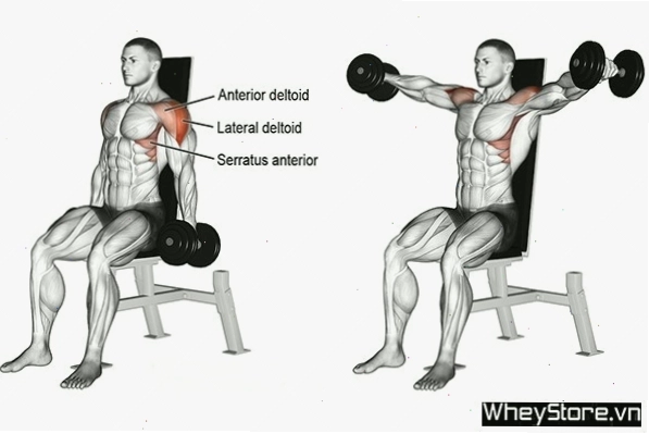 Bài tập Plank giữ cơ bụng săn chắc