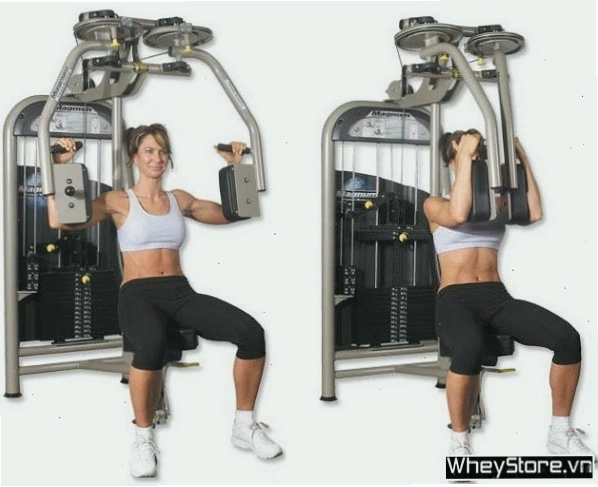 Bài tập Plank nâng tay với tạ cho cơ ngực săn chắc