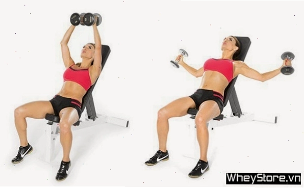 Bài tập Plank nghiêng với tạ cho nữ