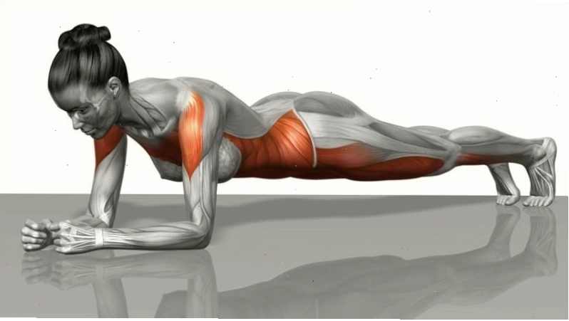 Bài tập plank tác động lên cơ vai, cơ ngực, cơ bụng và cơ đùi trước