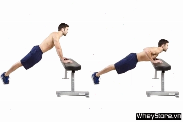 Bài tập Push Up cơ bản cho nam giới phát triển cơ ngực tại nhà