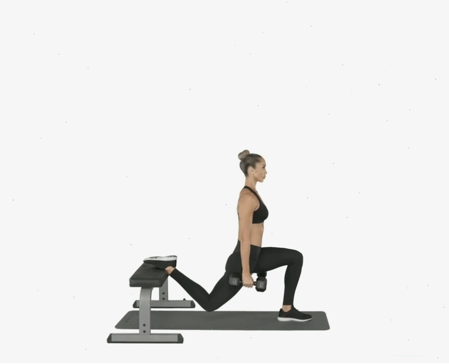 Bài tập Step-up với tạ đơn cho mông và đùi