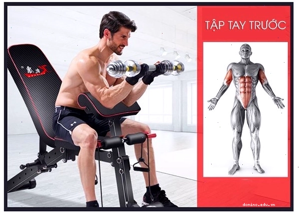 Bài tập tay trước với ghế tập gym đa năng