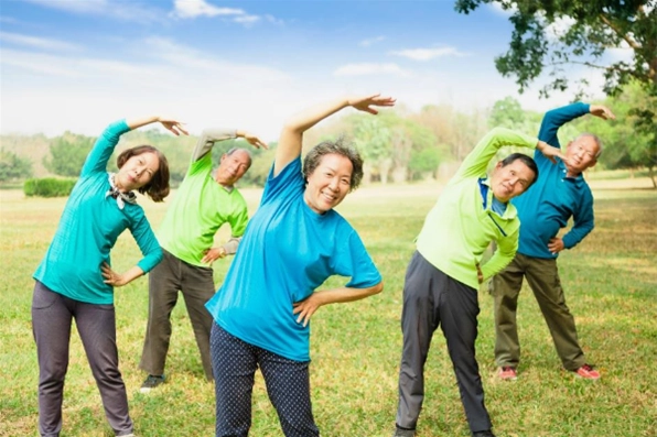 Bài tập thể dục cho người cao tuổi: Cẩm nang toàn diện cải thiện sức khỏe