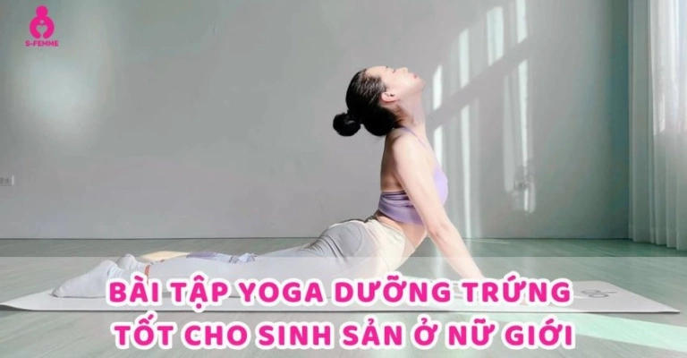 Bài tập tốt cho buồng trứng: Lợi ích và các bài tập phục hồi chức năng