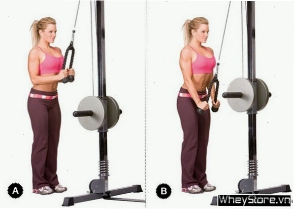 Bài tập Triceps Pushdown với máy kéo cáp