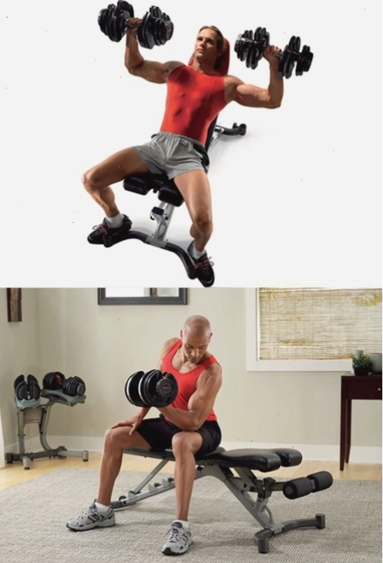 Bài tập với ghế tập tạ Bowflex