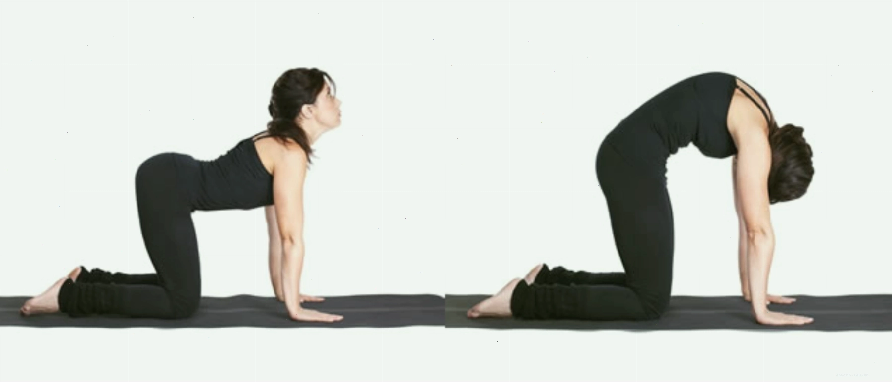 Bài tập yoga giảm mỡ bụng Luna Thái với tư thế con mèo