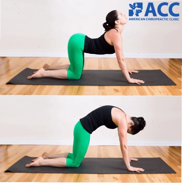 Bài tập yoga giúp giảm đau vai gáy
