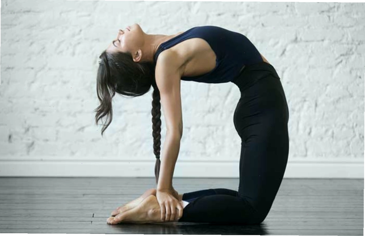 Bài tập yoga Luna Thái giảm mỡ bụng với tư thế lạc đà