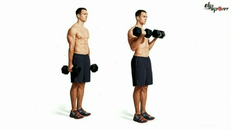 Bài tập Zottman Curl cho cẳng tay