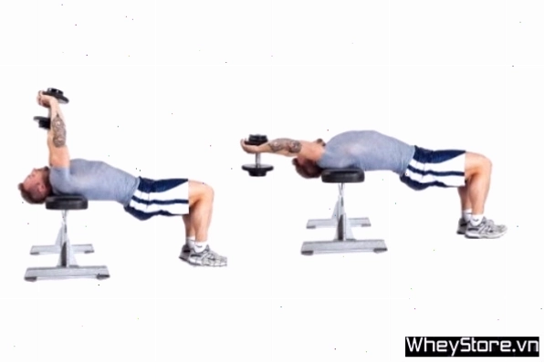 Bấm ngực tạ đơn trên ghế nghiêng