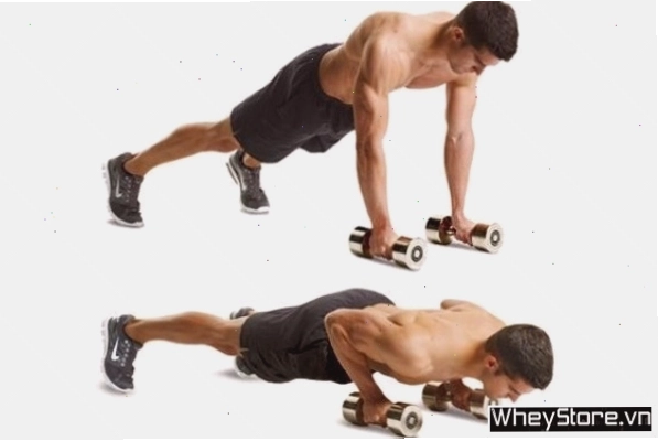 Barbell bench press tập luyện cơ ngực