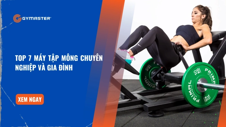 Bí quyết chọn máy tập mông tại nhà hiệu quả và an toàn