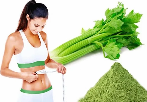 Bí quyết uống bột cần tây giảm cân hiệu quả an toàn