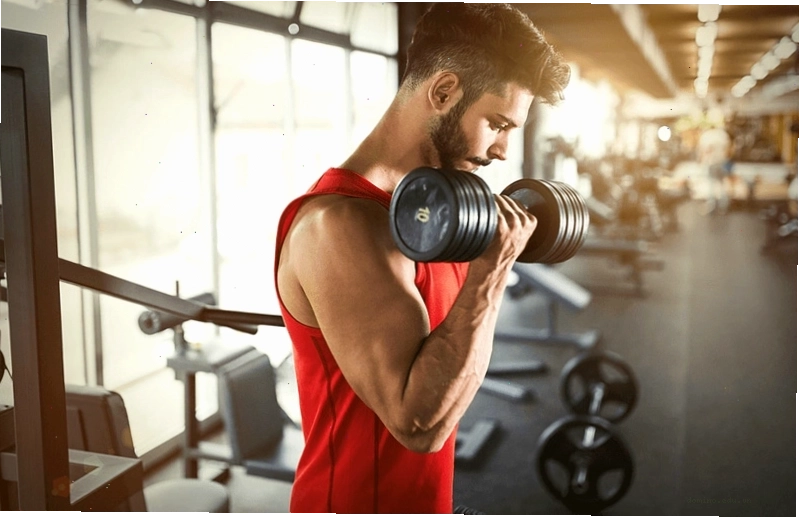 Biểu đồ minh họa sự gia tăng trao đổi chất khi tập gym buổi trưa